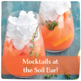 Mocktails at the Soil Bar! - February 14, 2026 - 1:00 pm