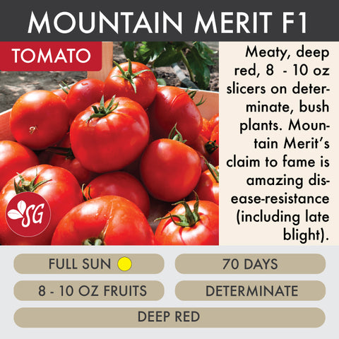 Mountain Merit - Tomato Plant Pre-Order 2026