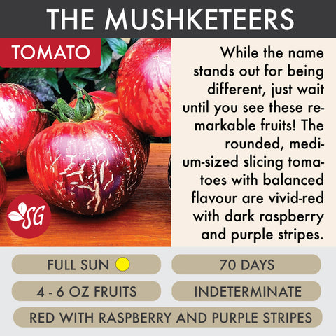 The Mushketeers - Tomato Plant Pre-Order 2026