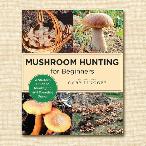 Mushroom Hunting for Beginners: A Starter's Guide to Identifying and Foraging Fungi