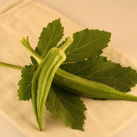 Okra, Clemson Spineless 80 (Certified Organic Seeds) (T)