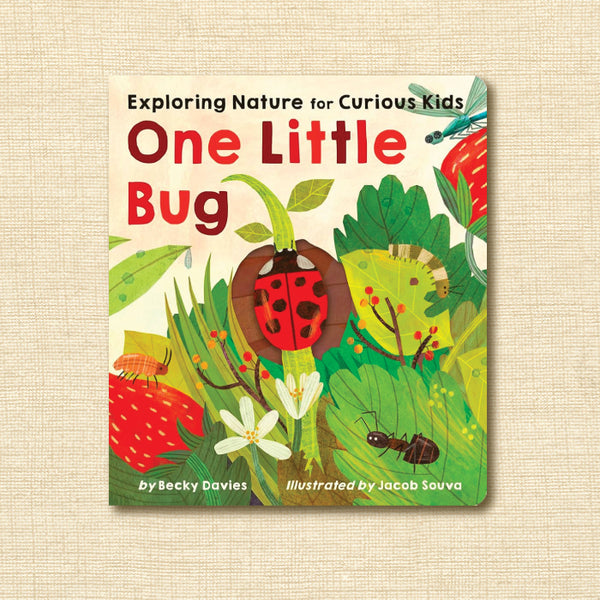 One Little Bug: Exploring Nature for Curious Kids