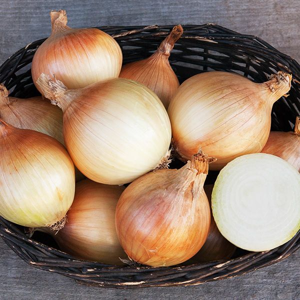 Onion, Ailsa Craig (Certified Organic Seeds)