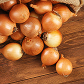 Onion, Cortland F1 (Organically Grown Seeds)