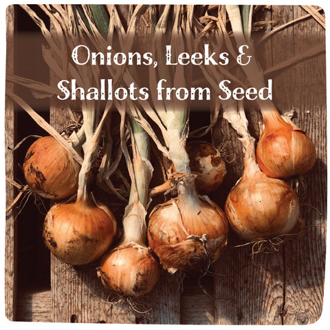 Onions, Leeks and Shallots from Seed - January 31, 2026 - 3:30 pm