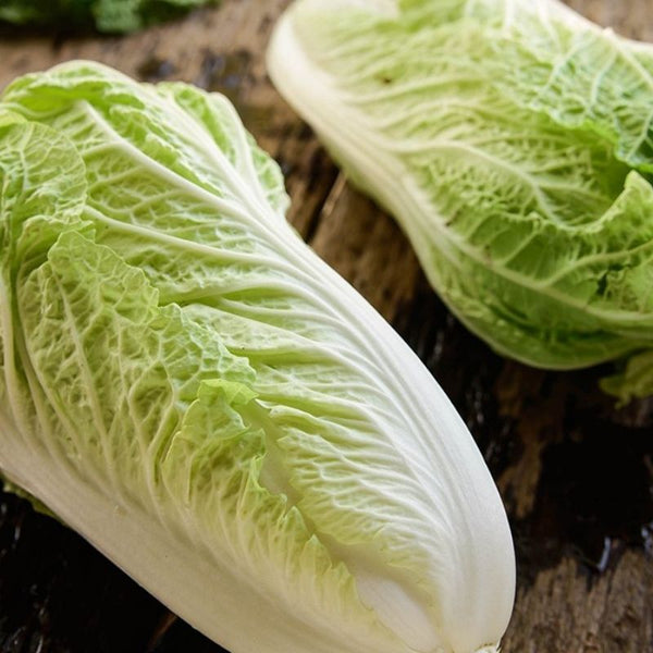 Seeds - Cabbage, Sativa Chinese (Napa) OG (F)