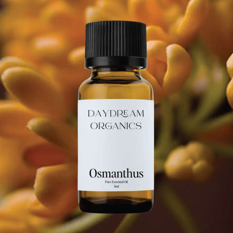 Daydream Organics Osmanthus Essential Oil 5 ml