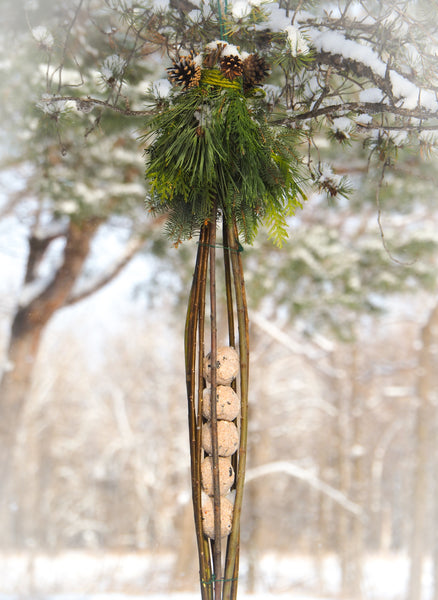 Wildcrafted Willow & Suet Bird Feeder - January 10, 2026 - 1:00 pm