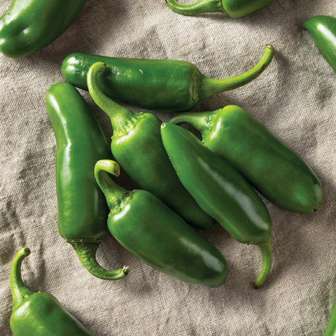 Pepper (Hot), Early Jalapeno (Organically Grown Seeds)