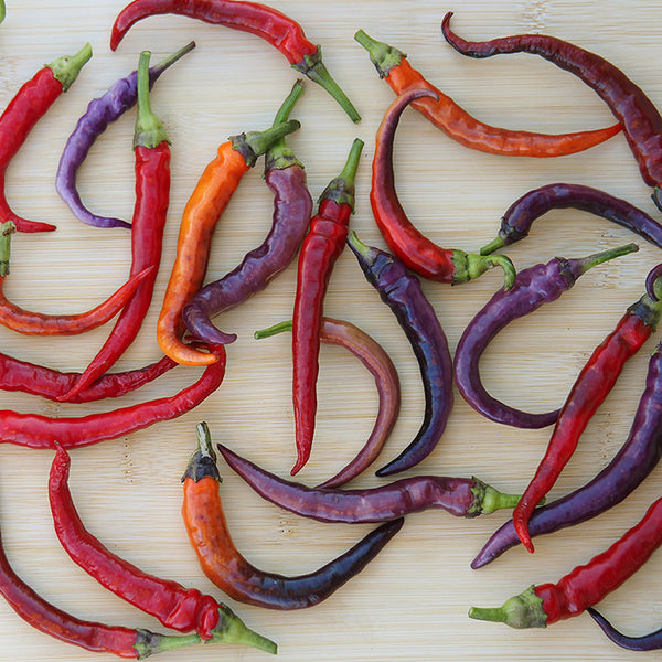 Pepper (Hot), Buena Mulata (Naturally Grown Seeds)