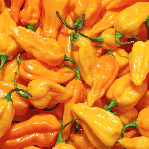 Pepper (Sweet), Habanada Sweet (Organically Grown Seeds)