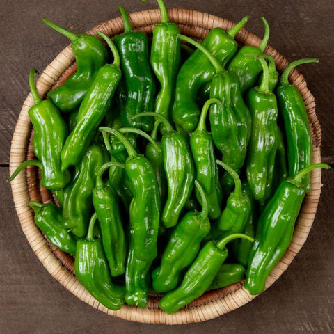 Pepper (Hot), Katana Shishito F1 (Certified Organic Seeds)
