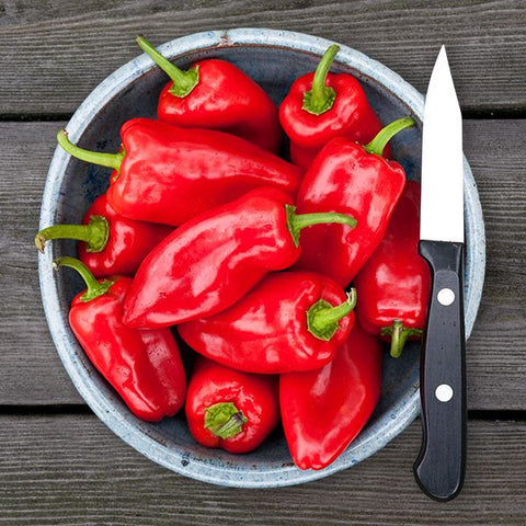 Pepper (Sweet), Picnic Red (Certified Organic Seeds)