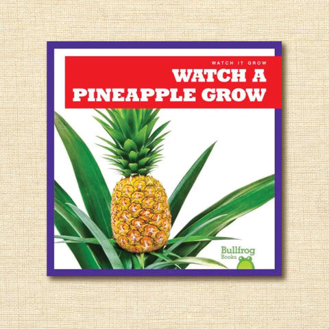 Watch a Pineapple Grow