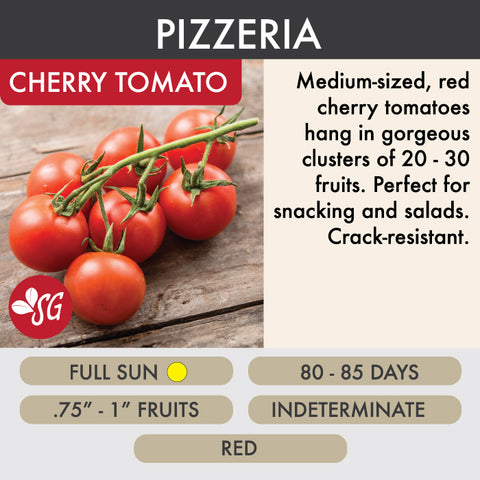Pizzeria - Tomato Plant Pre-Order 2026