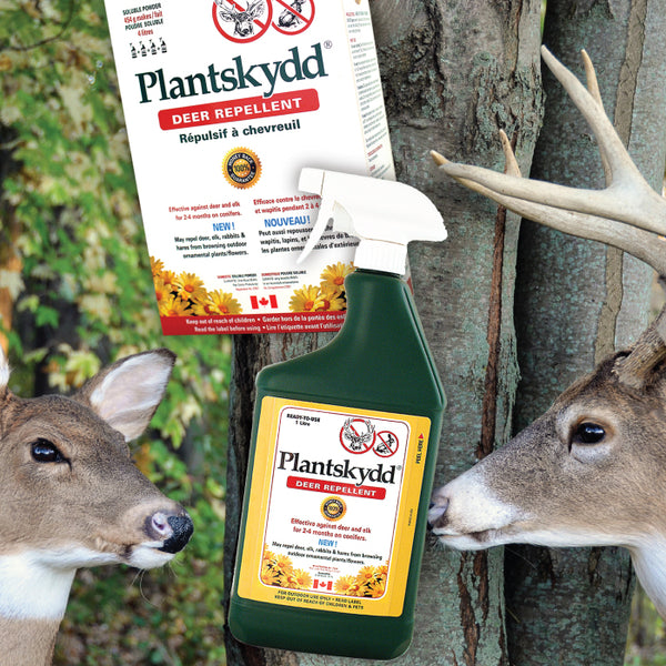 Plantskydd Animal Repellent