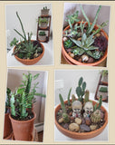 Workshop - Creative Succulent Planter (February 10 - 1 pm)