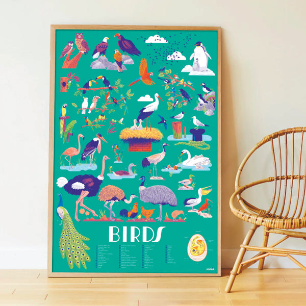 Discovery Poster - Poppik® Birds