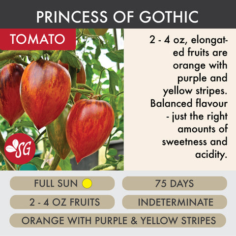 Princess of Gothic - Tomato Plant Pre-Order 2026
