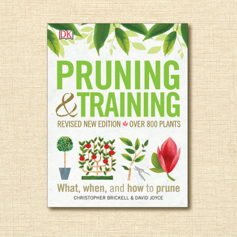 Pruning and Training: What, When, and How to Prune