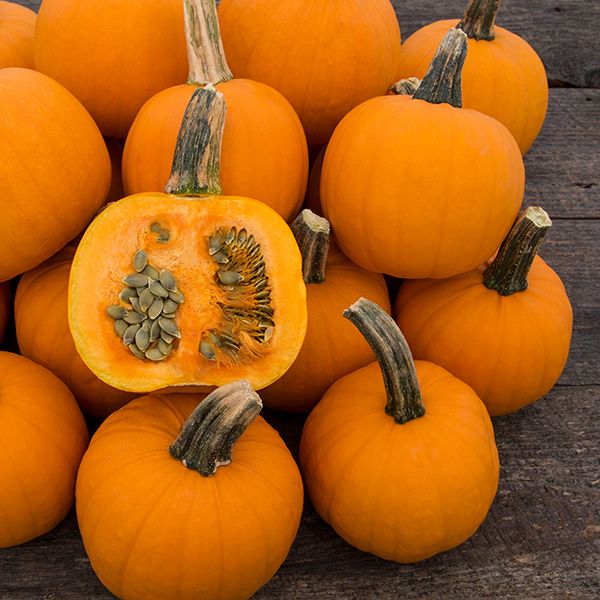 Pumpkin, Pie-Pita Hulless F1 (Certified Organic Seeds)