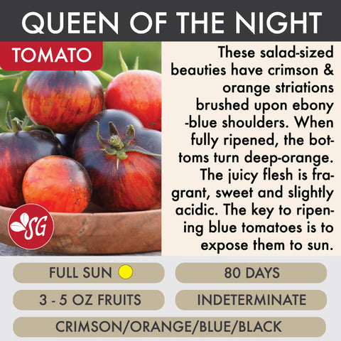 Queen of the Night - Tomato Plant Pre-Order 2026