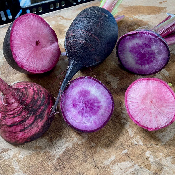 Radish, Black Amethyst (Certified Organic Seeds)