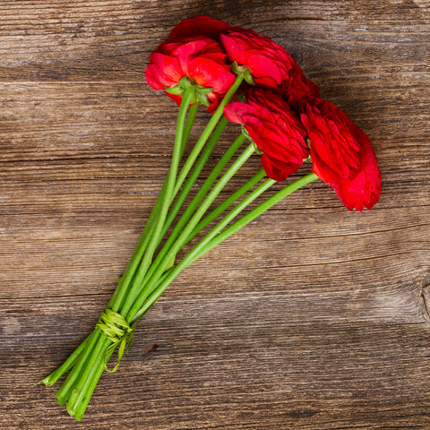 Bulbs (Spring) - Ranunculus, Red