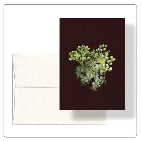 Roaul and Simone - Meadowsweet Note Card