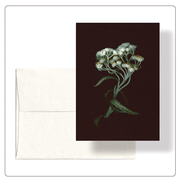 Roaul and Simone - Pearly Everlasting Note Card