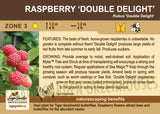 Raspberry, Double Delight (1-gallon)