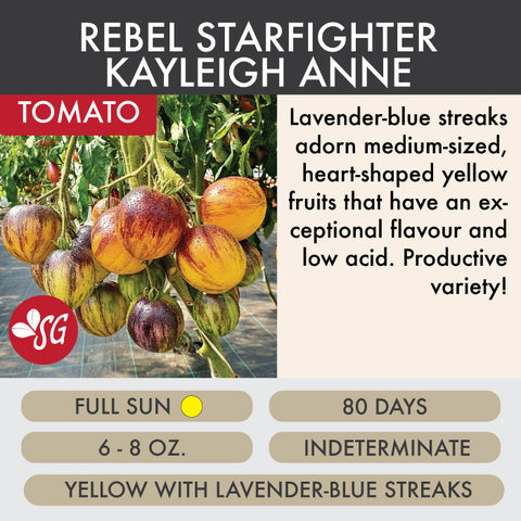 Rebel Starfighter Kayleigh Anne - Tomato Plant Pre-Order 2026