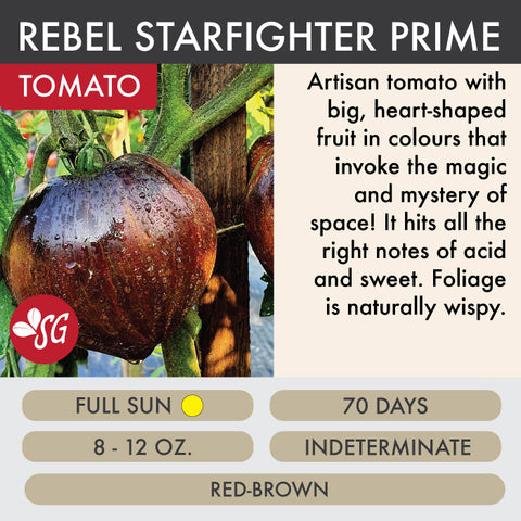 Rebel Starfighter Prime - Tomato Plant Pre-Order 2026