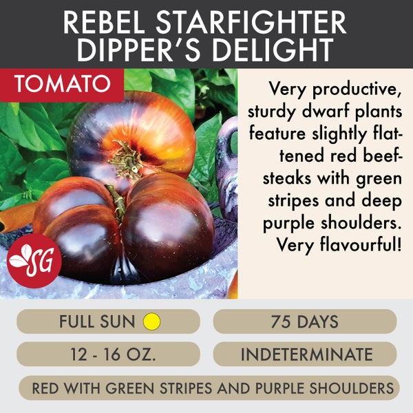 Rebel Starfighter Dipper's Delight - Tomato Plant Pre-Order 2026