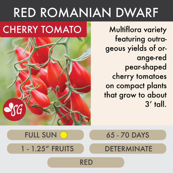 Red Romanian Dwarf - Tomato Plant Pre-Order 2026