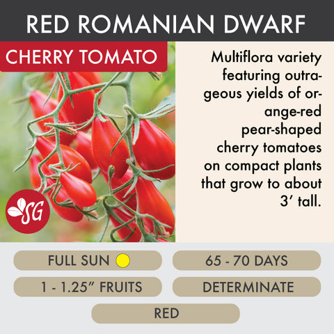 Red Romanian Dwarf - Tomato Plant Pre-Order 2026