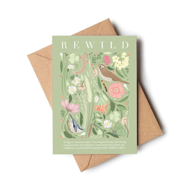 Wildwood Paper Note Card - Spring Birds Rewilding Card