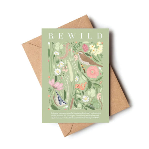 Wildwood Paper Note Card - Spring Birds Rewilding Card
