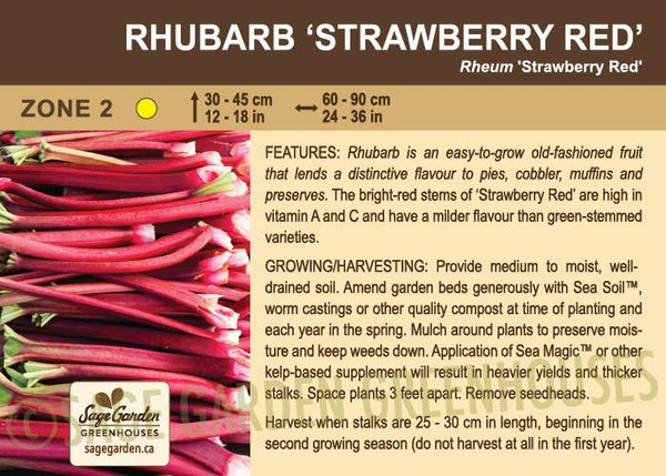 Rhubarb, Strawberry Red - 1-gallon ORCHARD PREORDER FOR LATE MAY 2024
