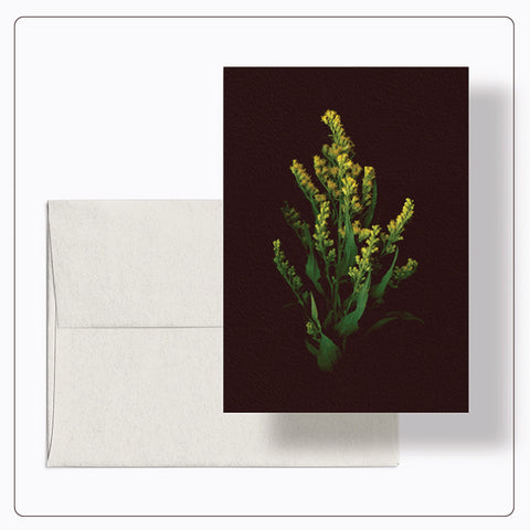 Roaul and Simone - Canada Goldenrod Note Card