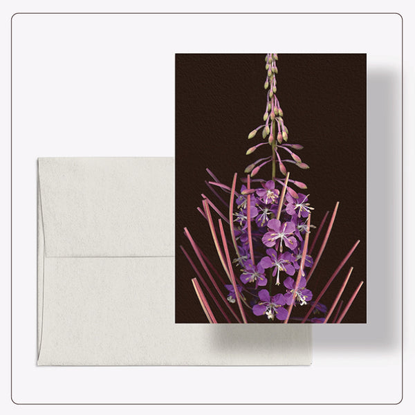 Roaul and Simone - L'Épilobe (Fireweed) Note Card