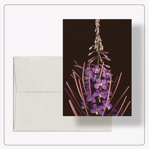 Roaul and Simone - L'Épilobe (Fireweed) Note Card