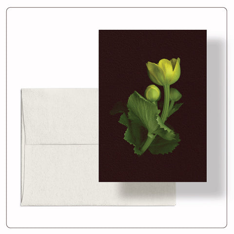 Roaul and Simone - Marsh Marigold Note Card