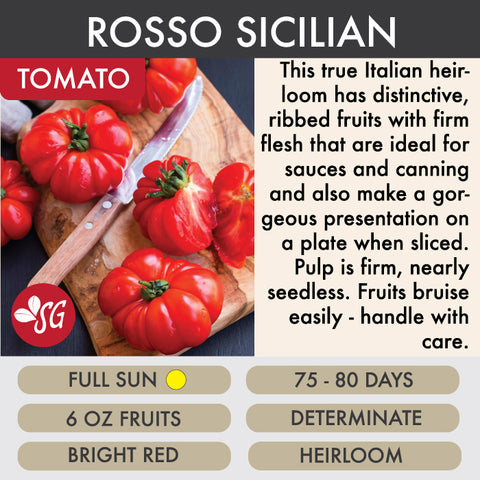 Rosso Sicilian - Tomato Plant Pre-Order 2026