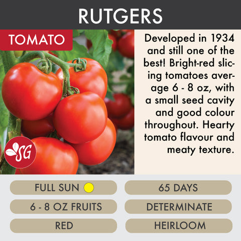 Rutgers - Tomato Plant Pre-Order 2026