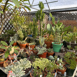 Behind the Scenes Tour at Sage Garden - Sunday, September 28, 2025
