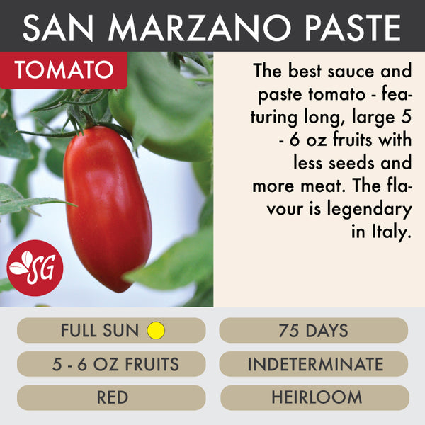 San Marzano - Tomato Plant Pre-Order 2026