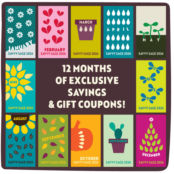 Savvy Sage Bundle 2026