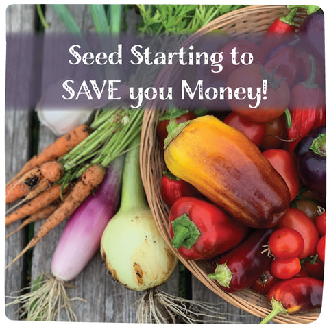 Seed Starting to SAVE you Money! - March 14, 2026 - 1:00 pm
