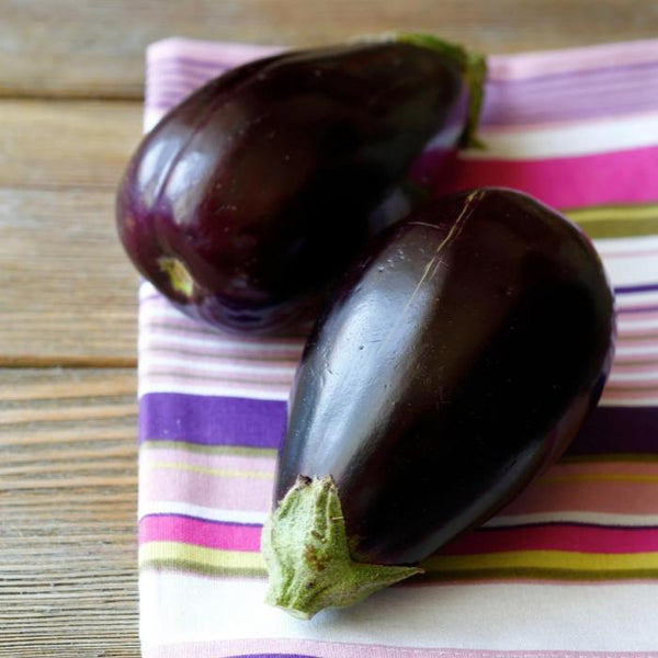 Eggplant, Black Beauty (Certified Organic Seeds)